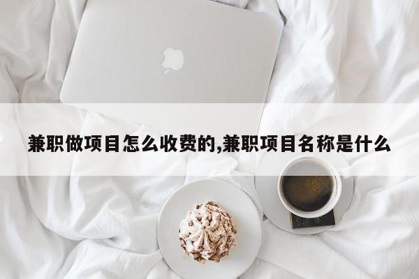 兼职做项目怎么收费的,兼职项目名称是什么