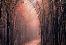 线上家教兼职平台招聘,线上家教兼职平台招聘可靠吗