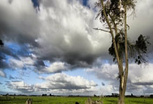 孙千个人资料,孙千个人资料简介及家世