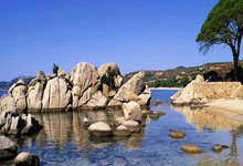 云南胡侠,云南胡彪